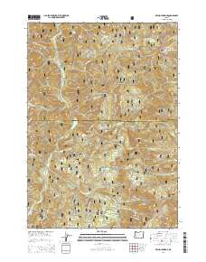 Reynolds Ridge 2014 topographic map thumbnail