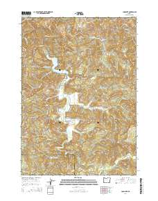 Loon Lake 2014 topographic map thumbnail