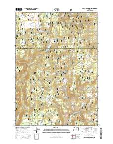 Myrtle Park Meadows 2014 topographic map thumbnail