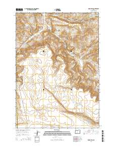 Rodman Rim 2014 topographic map thumbnail