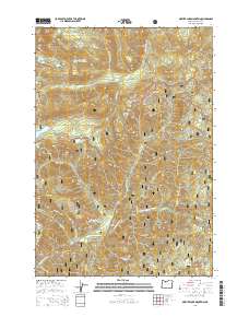 Mother Lode Mountain 2014 topographic map thumbnail