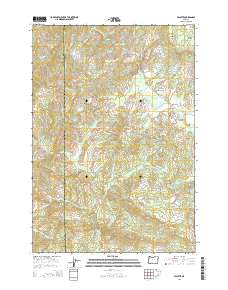 Valsetz 2014 topographic map preview