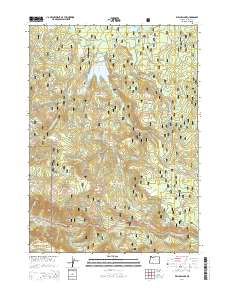 Willow Lake 2014 topographic map thumbnail