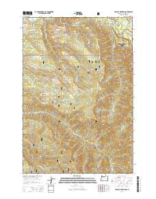Wildcat Mountain 2014 topographic map thumbnail