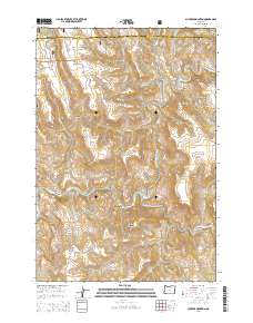 Slickear Mountain 2014 topographic map thumbnail