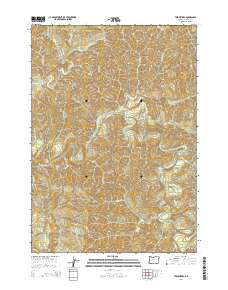Twin Sisters 2014 topographic map thumbnail