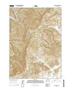 Tyee Mountain 2014 topographic map thumbnail