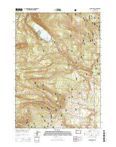 Miller Lake 2014 topographic map thumbnail