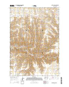 Schott Canyon 2014 topographic map thumbnail