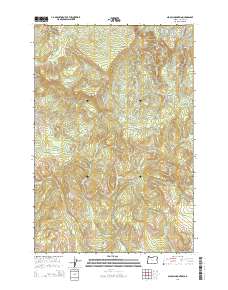 Nicolai Mountain 2014 topographic map thumbnail
