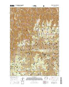 Tamarack Gulch 2014 topographic map thumbnail