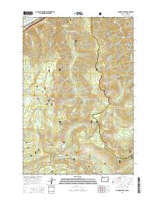 Tanner Butte 2014 topographic map thumbnail