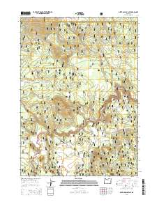 Silver Dollar Flat 2014 topographic map thumbnail