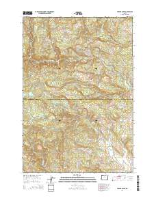 Turner Creek 2014 topographic map thumbnail
