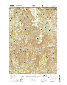 Turner Mountain 2014 topographic map thumbnail