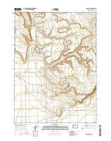 Walls Lake 2014 topographic map thumbnail