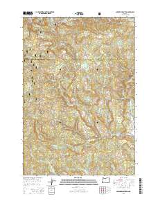 Springer Mountain 2014 topographic map thumbnail
