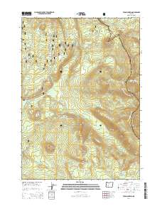 Tolo Mountain 2014 topographic map thumbnail