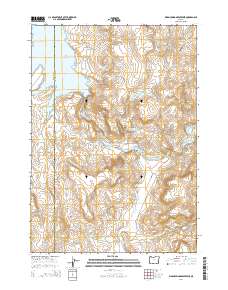Warm Springs Reservoir 2014 topographic map thumbnail