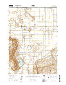 Thorn Lake 2014 topographic map thumbnail