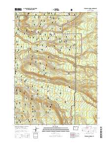 Thousand Springs 2014 topographic map thumbnail