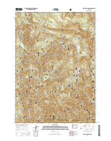 Tidbits Mountain 2014 topographic map thumbnail