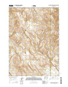 Wagontire Mountain West 2014 topographic map thumbnail