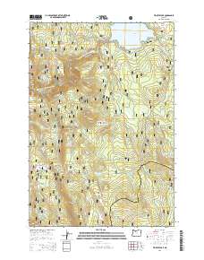 Timothy Lake 2014 topographic map thumbnail