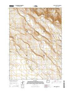 Weed Lake Butte 2014 topographic map thumbnail