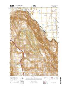 Craig Mountain 2014 topographic map thumbnail