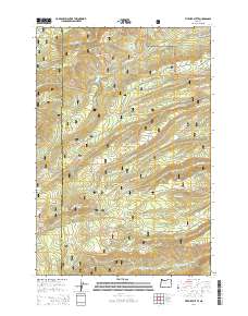 Fivemile Butte 2014 topographic map thumbnail