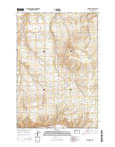 Ione North 2014 topographic map thumbnail