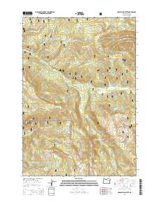 Desolation Butte 2014 topographic map thumbnail