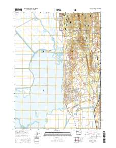 Agency Lake 2014 topographic map thumbnail