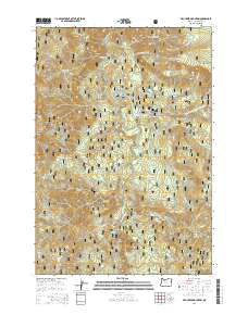 Fish Creek Mountain 2014 topographic map thumbnail