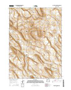 Diatomite Reservoir 2014 topographic map thumbnail