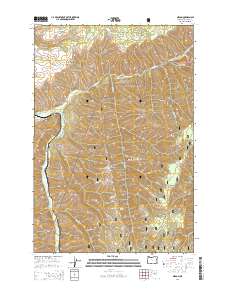 Gibbon 2014 topographic map thumbnail