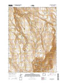 Comegys Lake 2014 topographic map thumbnail