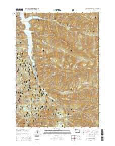 Cougar Reservoir 2014 topographic map thumbnail