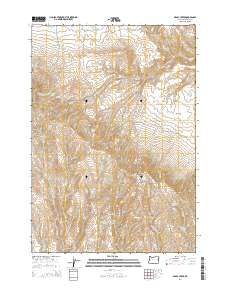 Brady Creek 2014 topographic map thumbnail
