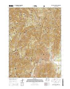 Eight Dollar Mountain 2014 topographic map thumbnail