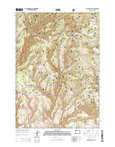 Donnelly Butte 2014 topographic map thumbnail