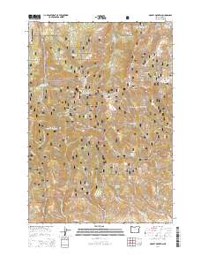 Dooley Mountain 2014 topographic map thumbnail