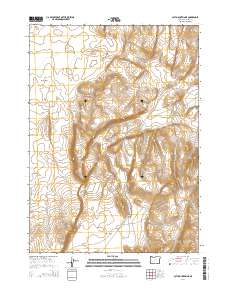 Acty Mountain NE 2014 topographic map thumbnail