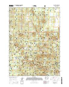 Bear Butte 2014 topographic map thumbnail