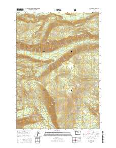 Lionshead 2014 topographic map thumbnail