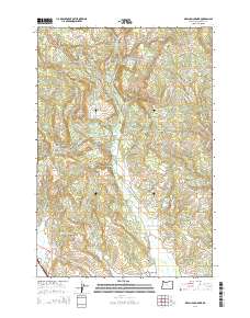 Meacham Corner 2014 topographic map thumbnail