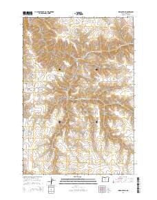 Indian Spring 2014 topographic map thumbnail