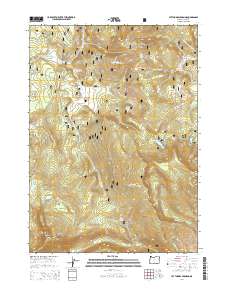 Lee Thomas Crossing 2014 topographic map thumbnail
