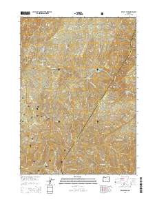 Kelsey Peak 2014 topographic map thumbnail